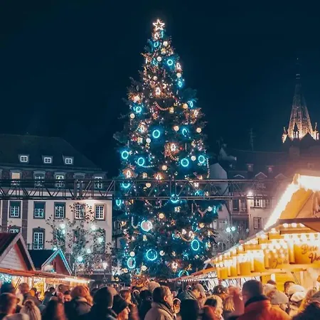 Spacieux A Avec Jardin Lejlighed Schiltigheim
